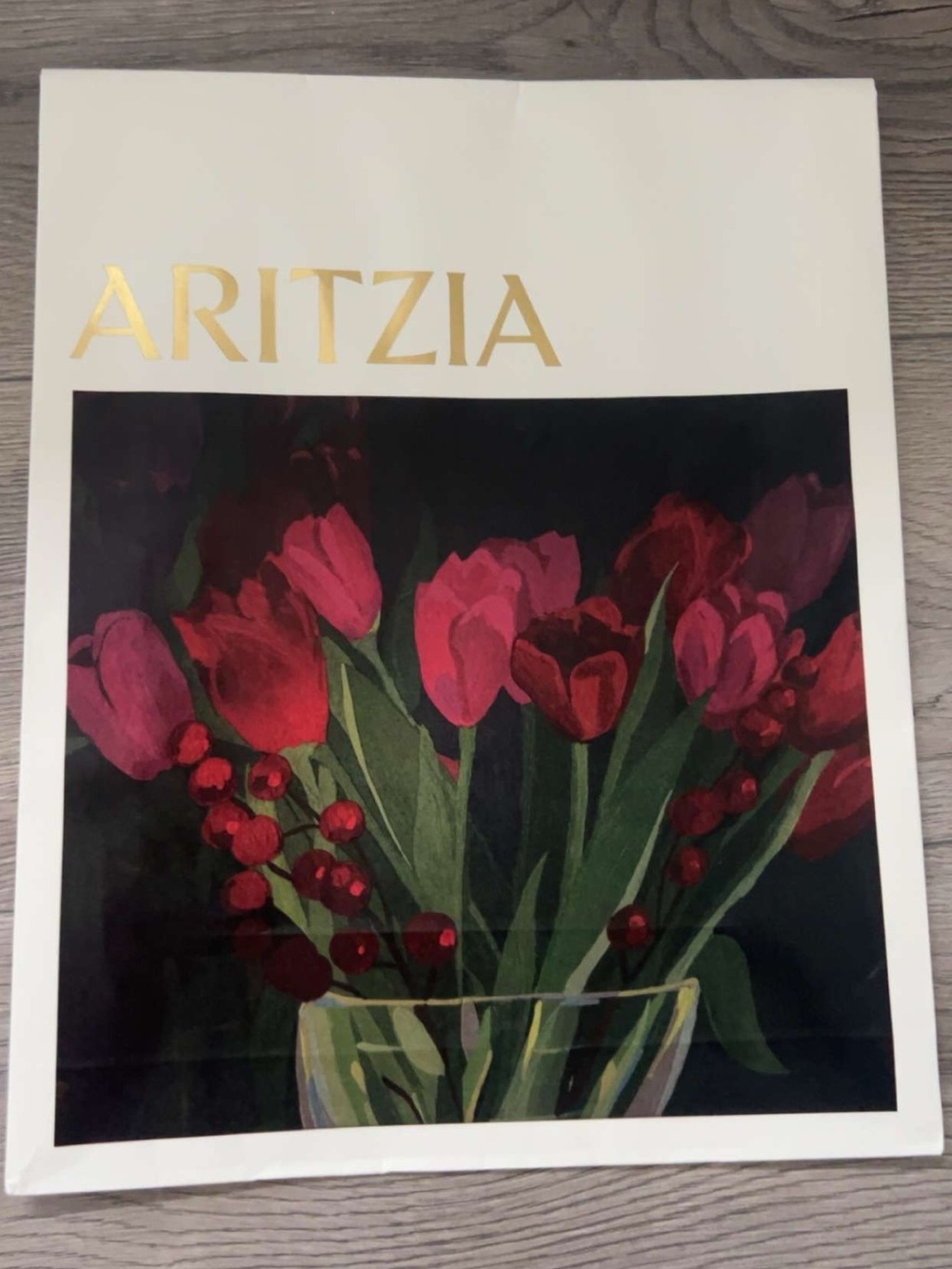 Aritzia Pink & Red Tulip Bouquet Bag